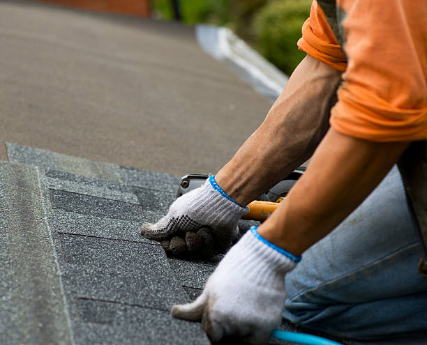 Best Storm Damage Roof Repair  in Jacksboro, TX