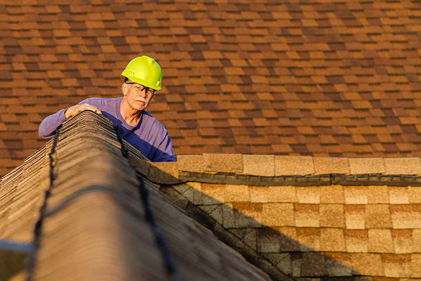 Best Roof Inspection Near Me  in Jacksboro, TX