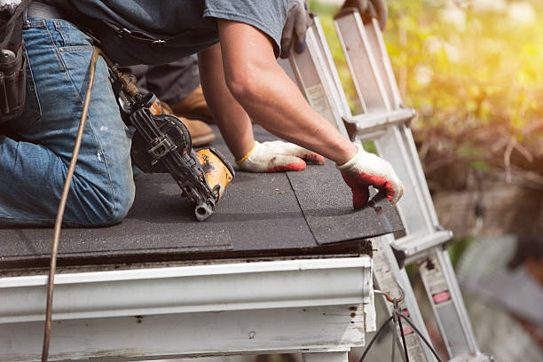 Best Roof Maintenance Services  in Jacksboro, TX